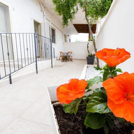 B&B Macchia Mediterranea San Pietro in Bevagna Ngoại thất bức ảnh