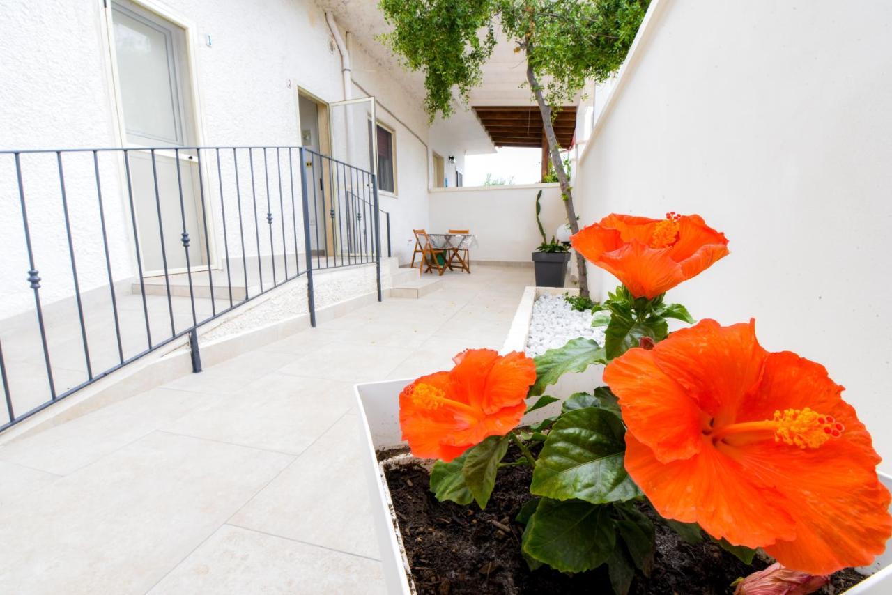 B&B Macchia Mediterranea San Pietro in Bevagna Ngoại thất bức ảnh
