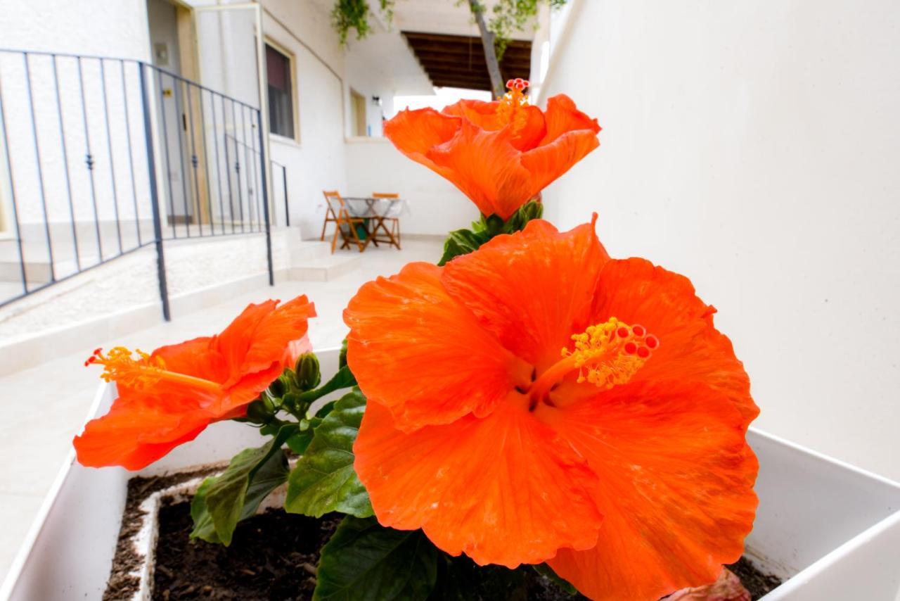 B&B Macchia Mediterranea San Pietro in Bevagna Ngoại thất bức ảnh